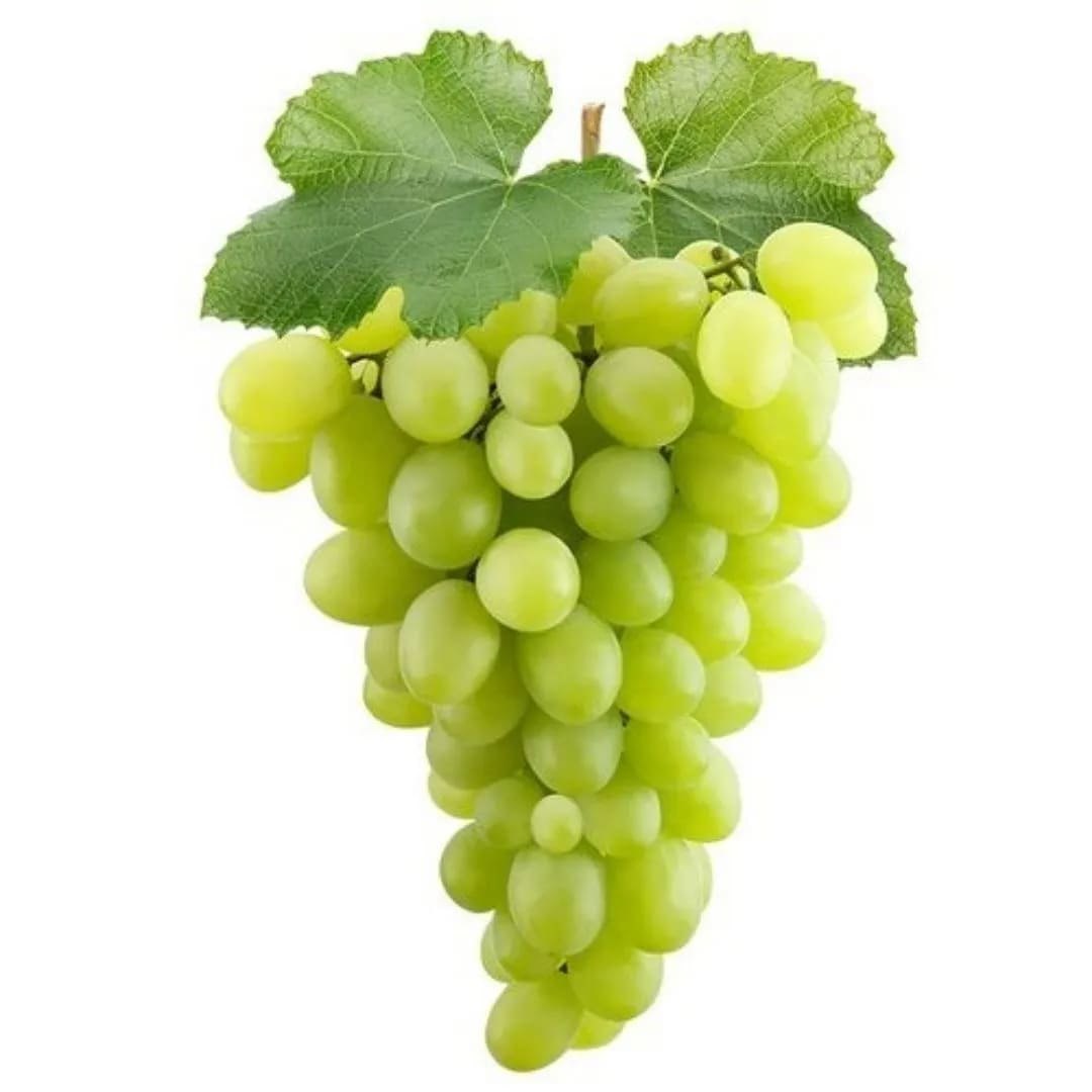 Green Grape